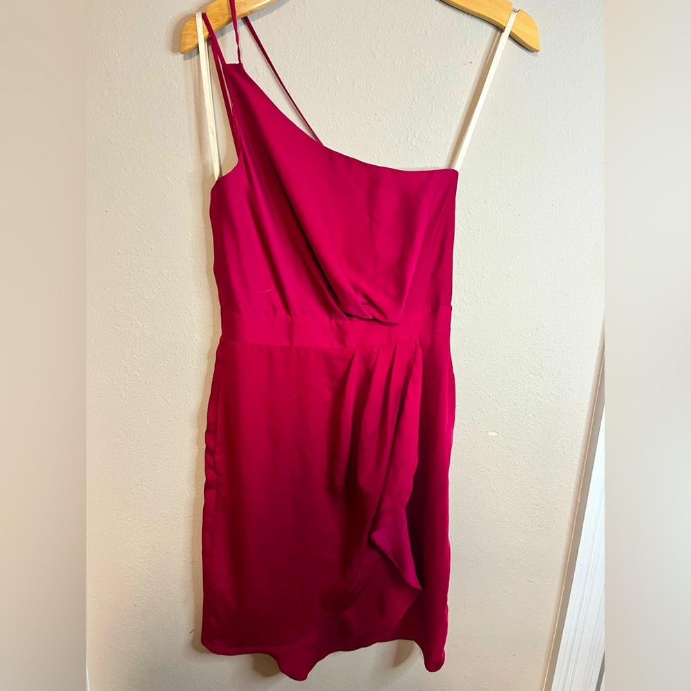 BCBG Wine Colored (Red Berry) Mini Dress